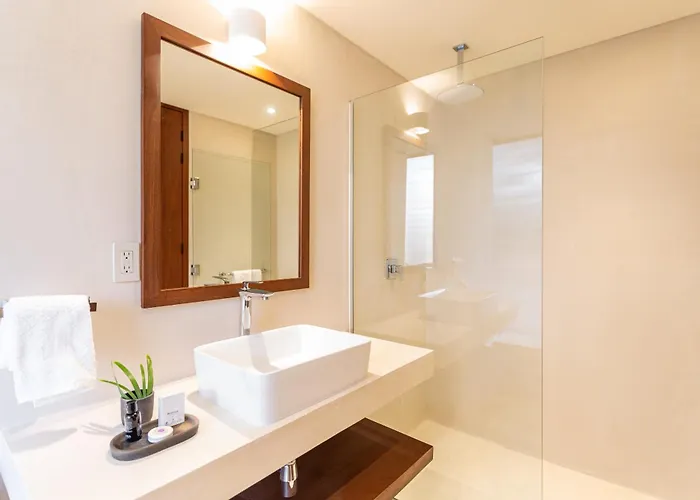 Bt Homes - - De Lujo En La Selva Con Piscina