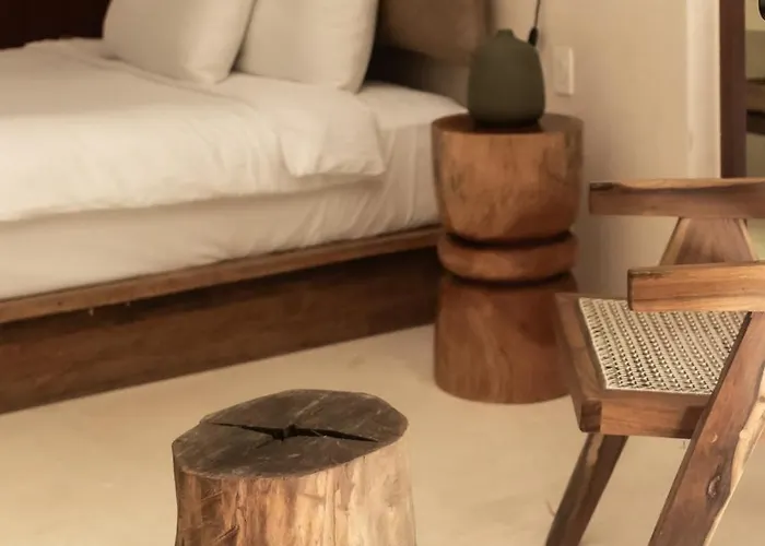 Bt Homes - - De Lujo En La Selva Con Piscina